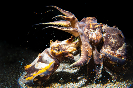 cda3cfc1903611615e1c2f10489806be_3 추소정 IMG_4889.jpg